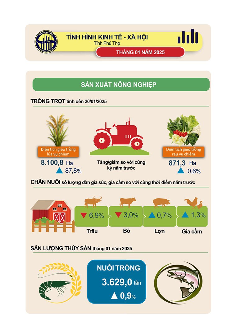 [Infographics] Số liệu thống kê chủ yếu tỉnh Phú Thọ tháng 01 năm 2025