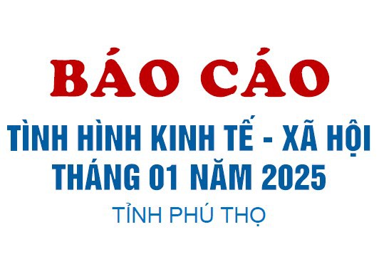 Tình hình kinh tế - xã hội tháng 01 năm 2025 tỉnh Phú Thọ