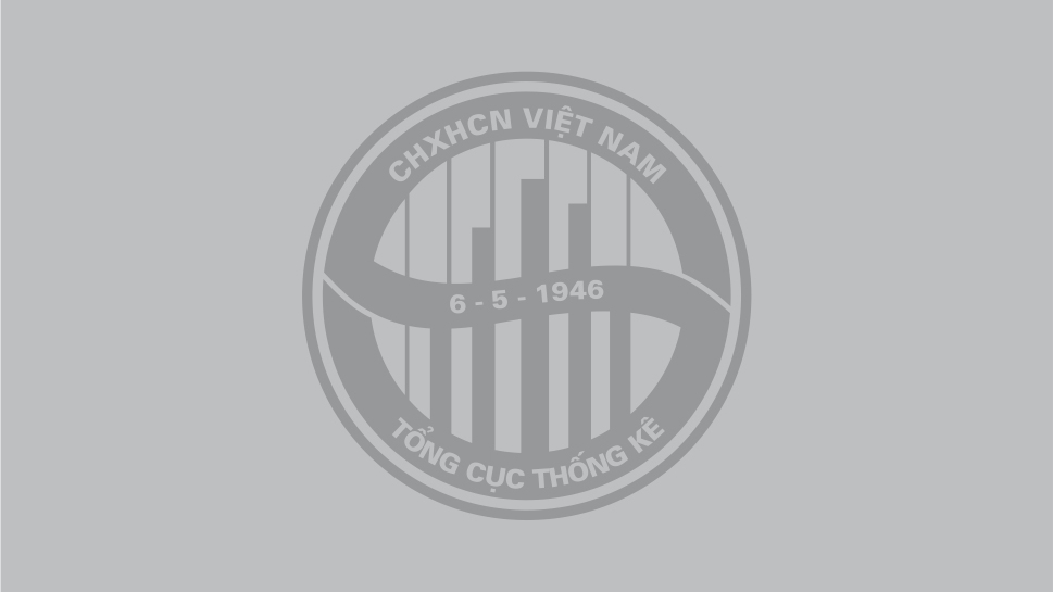 Hội Thống kê Việt Nam - Cục Thống kê tỉnh Phú Thọ tổ chức Hội thảo khoa học Tư vấn Phản biện Chương trình điều tra thống kê quốc gia